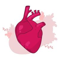 Heart vector design. Realistic anatomy pictures. Human body internal organs,