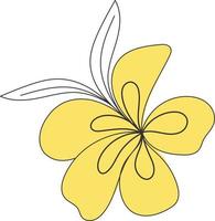 Spa plumeria flower illustration vector