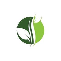 Tree leaf symbol vector icon