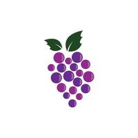 Grape vector icon illustration design