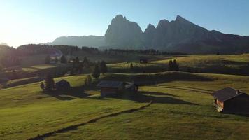 beslagtagare alm alpe di siusi dal på sommar i italiensk dolomiterna, söder tyrolen trentino alt adige, Italien, sassolungo och sassopiatto berg grupp video