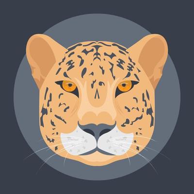 Trendy Tiger Concepts