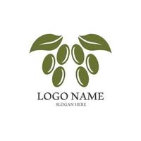 Extra virgin olive oil logo design vector illustration