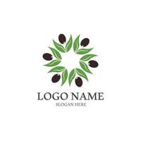 Extra virgin olive oil logo design vector illustration