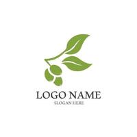 Extra virgin olive oil logo design vector illustration