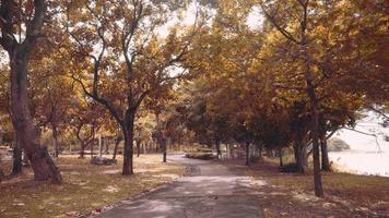 Wanderweg im öffentlichen Park mit ruhigem Wind neben dem See in der Herbstsaison video