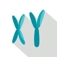 X and Y chromosomes icon, flat style vector