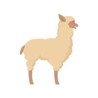 icono de lama vector aislado plano