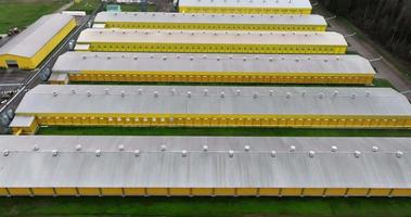 aerial flight over agro-industrial livestock complex on agro-processing and manufacturing plant with chicken farm. rows of chicken coop video