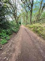 A view of the Cheshire Countryside at Peckforton photo