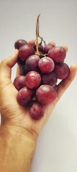 Red grape fruit in hand on white color background, photo taken from the top angle