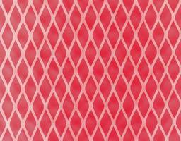 Abstract red mesh pattern background photo