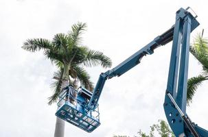 Gardener cutting branches on crane basket. unsafe concept photo