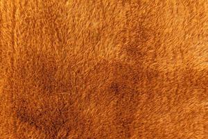 Texture orange wool carpet background photo