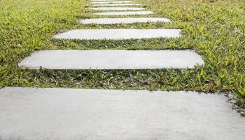 Rectangular bricks walk way on the lawn photo