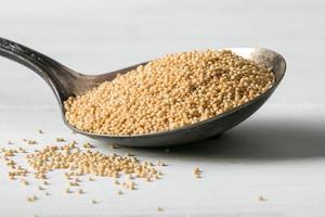 Uncooked Amaranth Grain on a Spoon photo