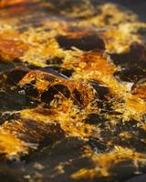 shattered cannabis wax on dark paper. golden crumble marijuana resin photo