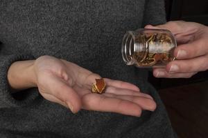 a hat of dried red fly agaric in hand, medical use of amanita muicaria photo