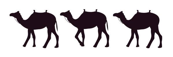 Set of silhouette of three camels. Vector illustration.