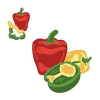 Bell pepper. Cartoon Illustration vector