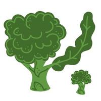 Broccoli. Whole broccoli and icon. Good for posters, package, t-shirts, postcards, shopping bags. Vector hand draw cartoon illustration.