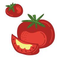 verdura de tomate y rodaja. vector