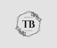 logo femenino inicial tb. utilizable para logotipos de naturaleza, salón, spa, cosmética y belleza. elemento de plantilla de diseño de logotipo de vector plano.