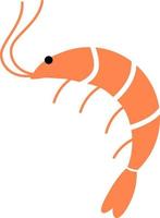 Shrimp, vector. Orange shrimp on a white background. vector