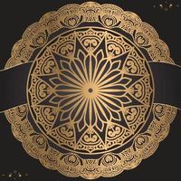 Modern Luxury ornamental mandala design background template vector