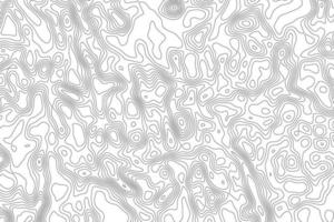 Vector topographic mp background.Shape contour line map of the terrain.