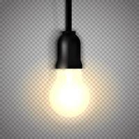 Light bulb isolated vector