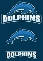 mascota del equipo de delfines vector