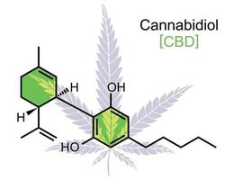 CBD Molecule on White vector