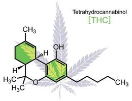 THC Molecule on White vector