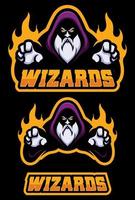 Wizards Team Mascot vector