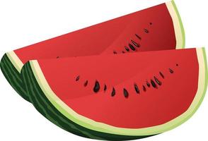 isolated red watermelon slice illustration vector