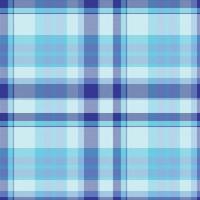 Tartan or plaid winter color pattern. vector