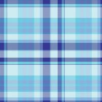 Tartan or plaid winter color pattern. vector