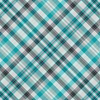 Tartan or plaid winter color pattern. vector