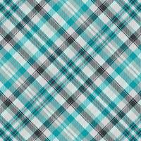 Tartan or plaid winter color pattern. vector