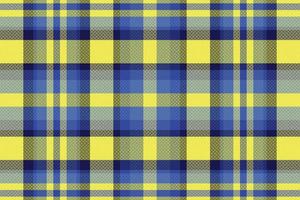 Tartan or plaid winter color pattern. vector