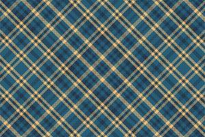 Tartan or plaid winter color pattern. vector