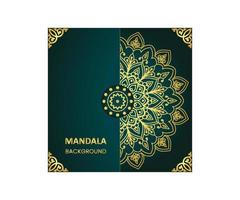 Colorful Mandala Vector Background Design