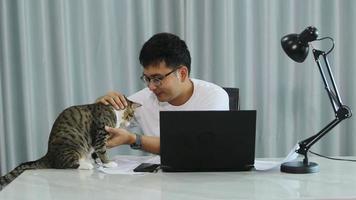 young male remote worker working studying online from home office sitting playing with cute kitty cat pet, having break doing freelance distance, pet interruption video