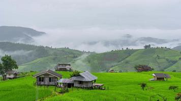 lapso de tiempo de un pequeño pueblo en terrazas de arroz verde con flujo de niebla en el día lluvioso video