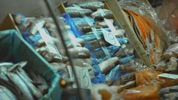 la truite de poisson rouge est vendue exposée dans un magasin. fruits de mer délicieux et sains, congelés video