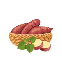 Vector illustration, sweet potato in a basket, with fresh leaves and slices, isolated on white, suitable for posters, websites, brochures and agricultural product packaging.