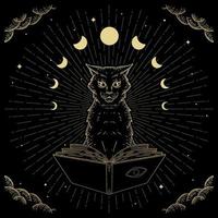 Hand drawn Magical and mystical black cat vector