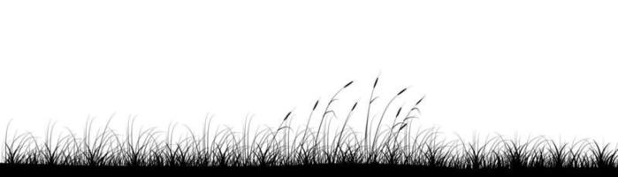 Reeds in meadow grass panoramic background design. Wild nature. Vector illustration with empty copy space for text. Editable shape for poster decoration. Creative and customizable panorama image