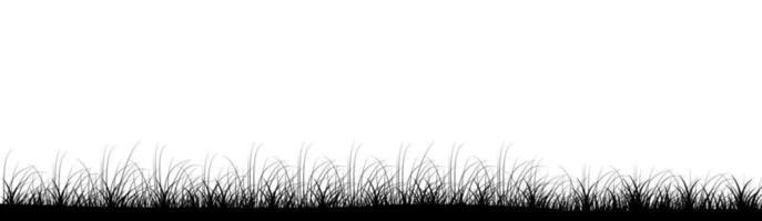 Field grass panoramic background design. Lawn cultivation. Vector illustration with empty copy space for text. Editable shape for poster decoration. Creative and customizable panorama image